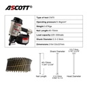 Product Importer Gallery 02 · 0d252efc5f