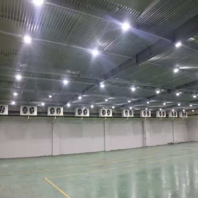 Product Importer Gallery 05 · afc35dbd68