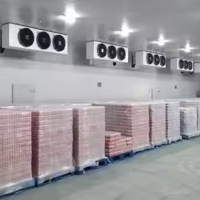 Product Importer Gallery 01 · 6124428409