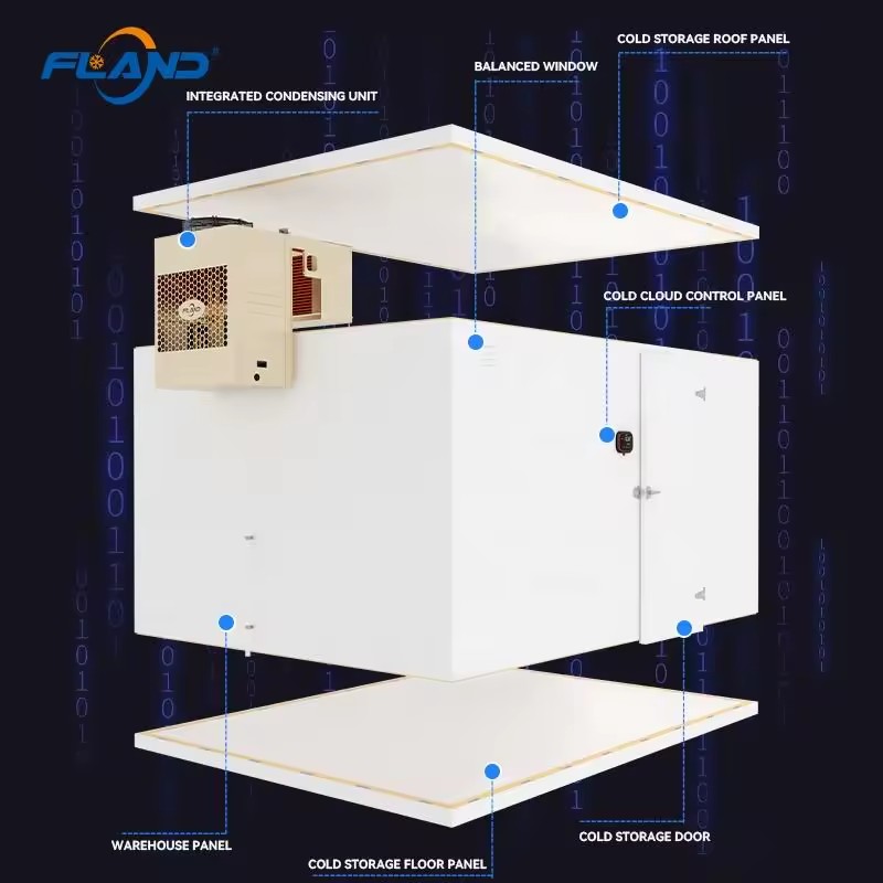 Product Importer Gallery 04 · 3b6a356490