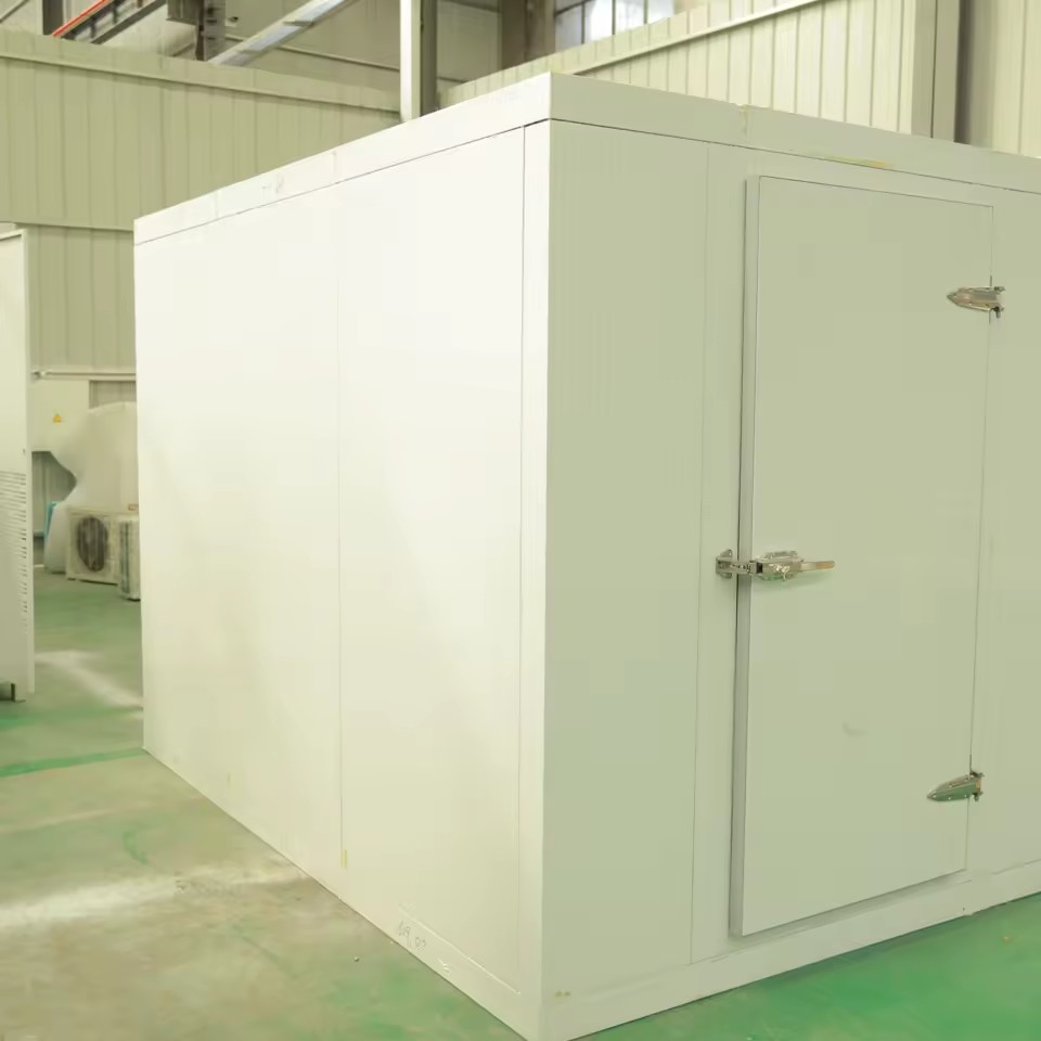 Product Importer Gallery 02 · ec6318f426