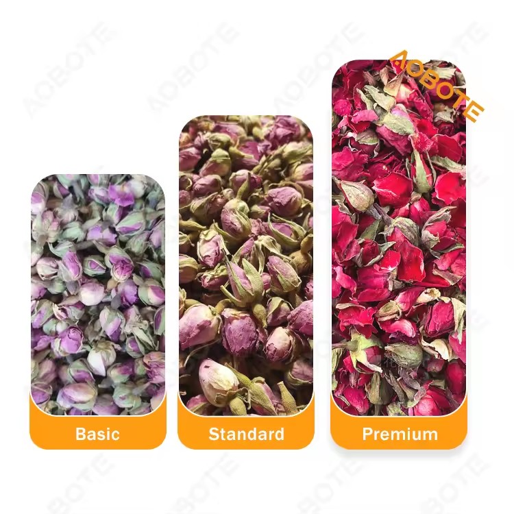 Product Importer Gallery 03 · b8720dcca9