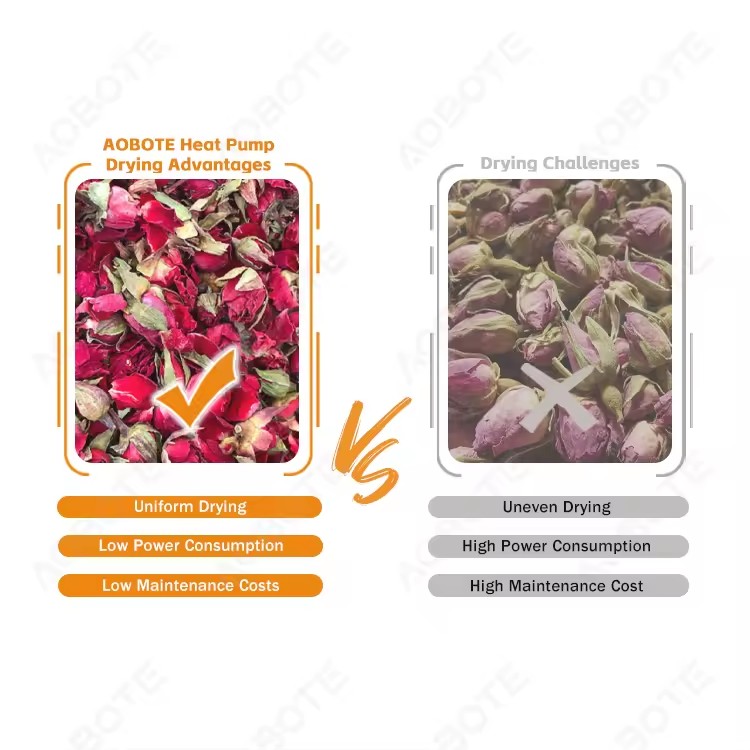 Product Importer Gallery 02 · 2aa3ba028e