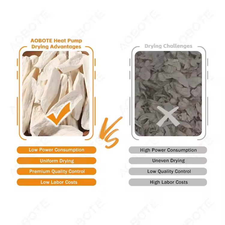 Product Importer Gallery 03 · ff4b14c59a