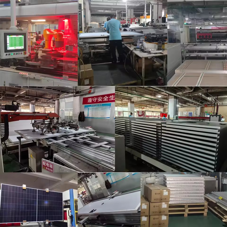 Product Importer Gallery 03 · c2d20b7e29