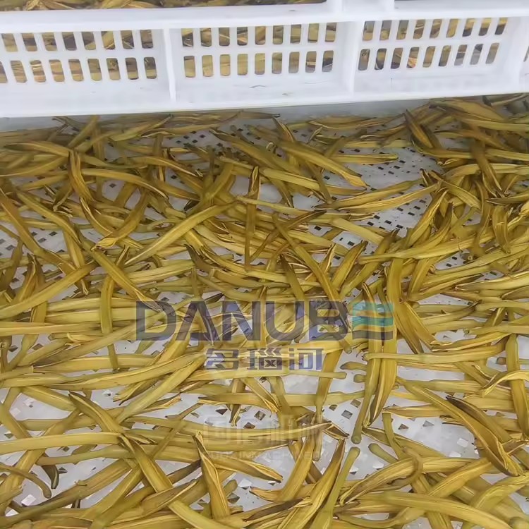 Product Importer Gallery 05 · 6187113c97