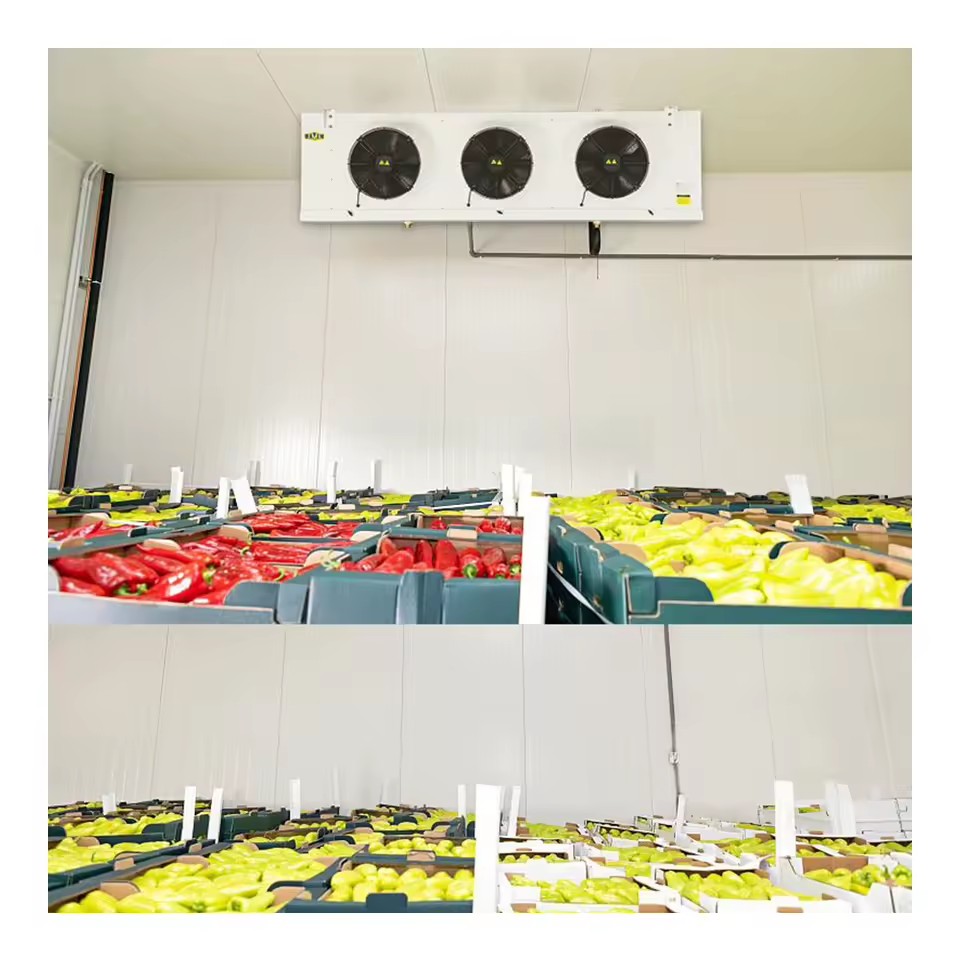 Product Importer Gallery 05 · facfcb8c7d