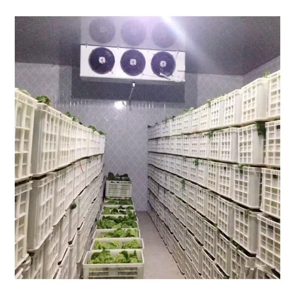 Product Importer Gallery 03 · 01b2c3cb2c