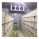 Product Importer Gallery 03 · 01b2c3cb2c