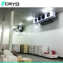 Product Importer Gallery 05 · 352e19f16a