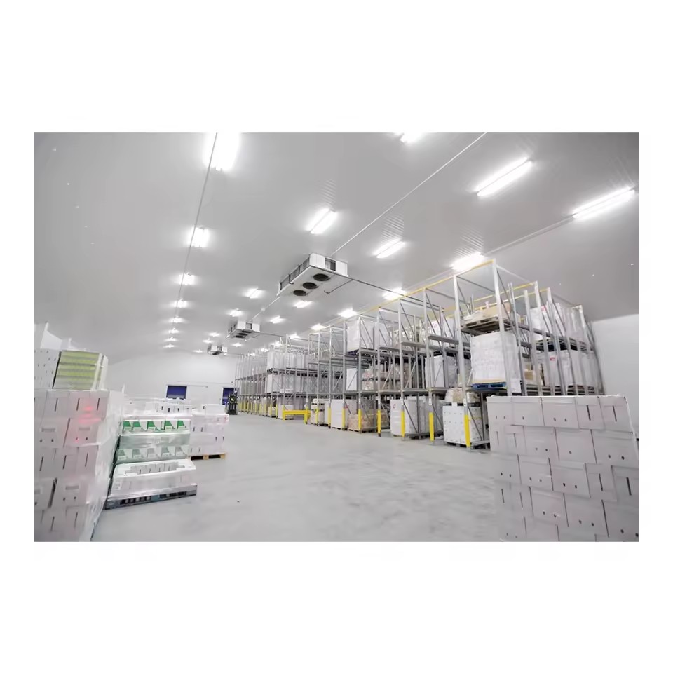 Product Importer Gallery 04 · 850f1b8d59