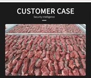Product Importer Gallery 05 · f548705292