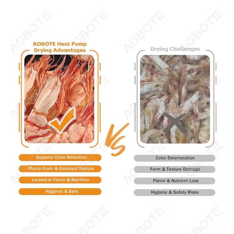 Product Importer Gallery 03 · 8f2b0037e3