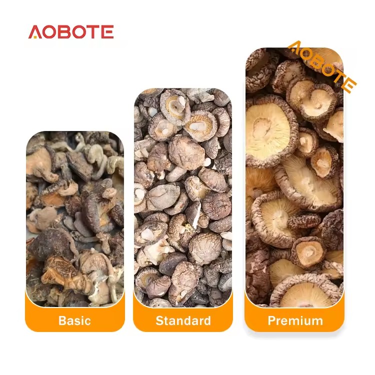 Product Importer Gallery 02 · 91220b288a