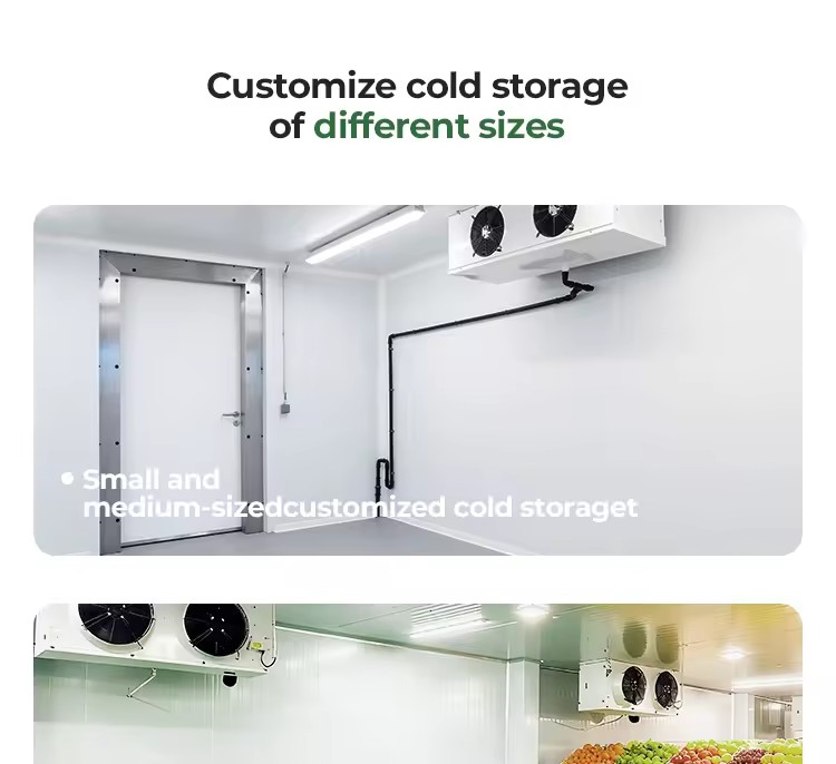 Product Importer Gallery 05 · 94dd563663