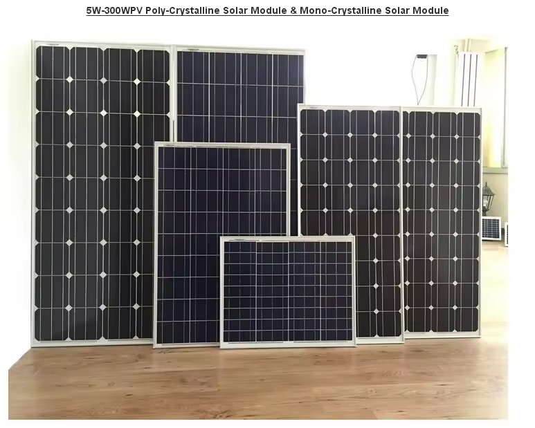 Product Importer Gallery 05 · ad2f52c941