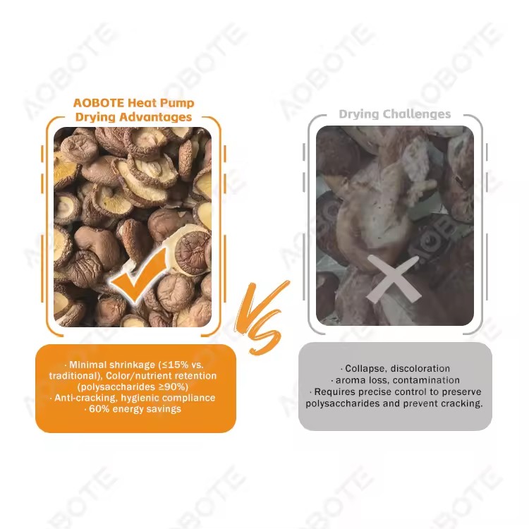 Product Importer Gallery 03 · c90ba41aea