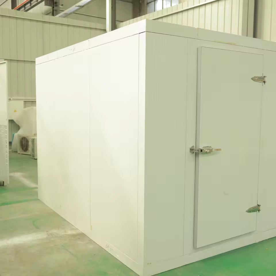 Product Importer Gallery 03 · b843e7a5b5