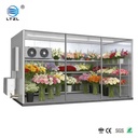 Product Importer Gallery 04 · 99146a25d5