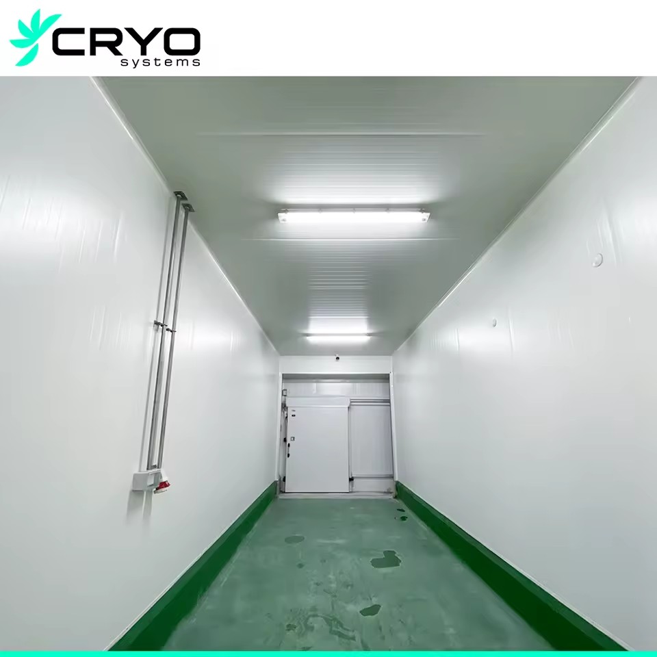 Product Importer Gallery 04 · bcf6c7aa5d