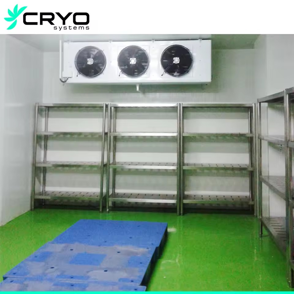 Product Importer Gallery 04 · 986d5b80cb