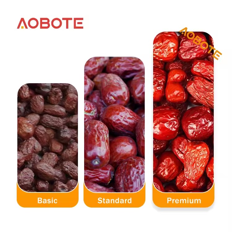 Product Importer Gallery 01 · 0773b2277c