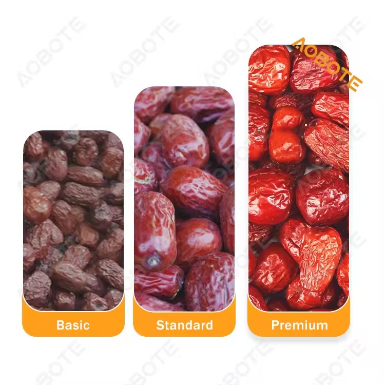 Product Importer Gallery 03 · ae7840ce88