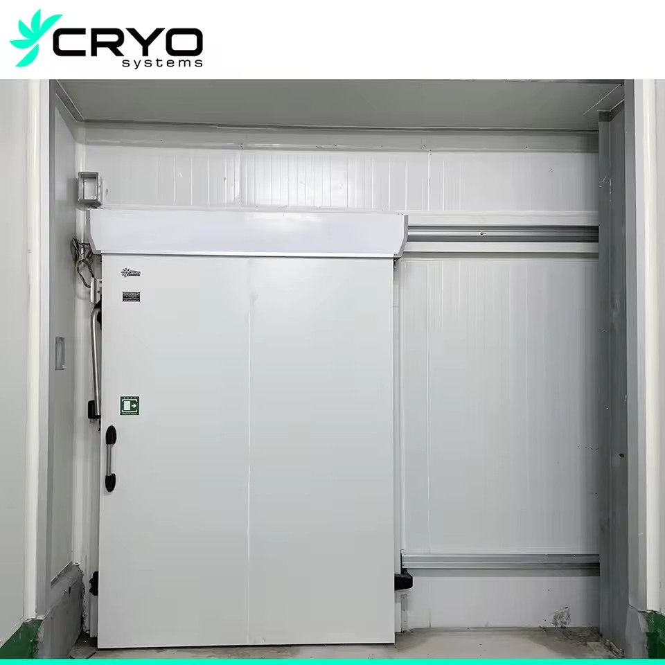 Product Importer Gallery 05 · 89e3cceb9a