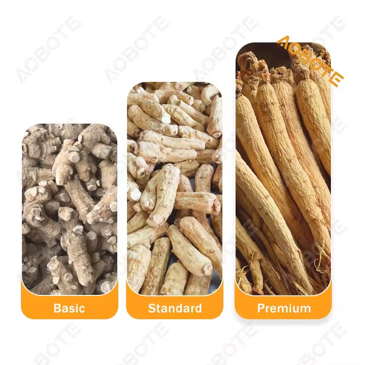 Product Importer Gallery 02 · 37f8744390