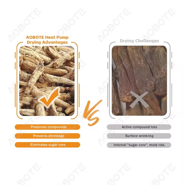 Product Importer Gallery 02 · f5384a1cd9