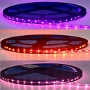Product Importer Gallery 01 · 013292cb43