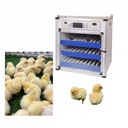 Product Importer Gallery 03 · babc9013a1