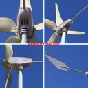 Product Importer Gallery 05 · 33d547f713