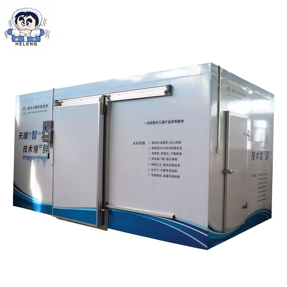 Product Importer Gallery 01 · 00765c8d7a