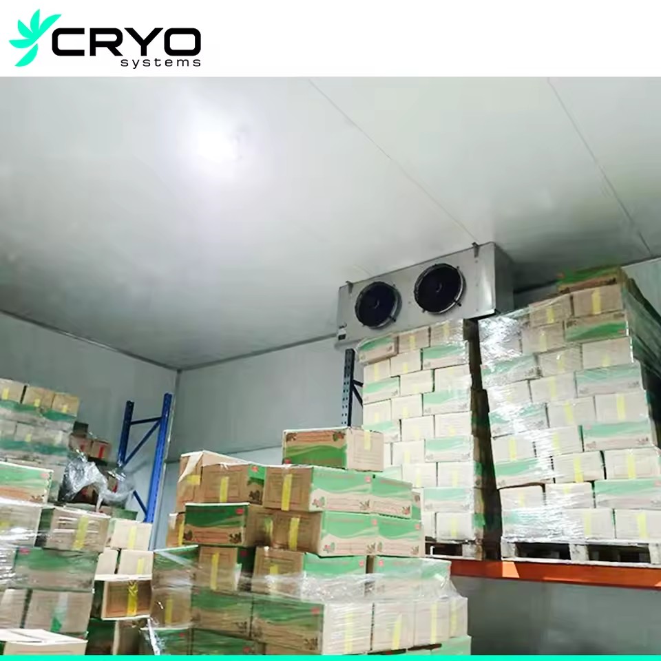 Product Importer Gallery 05 · ed32dc97e5