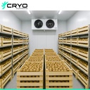 Product Importer Gallery 02 · 3818625c10