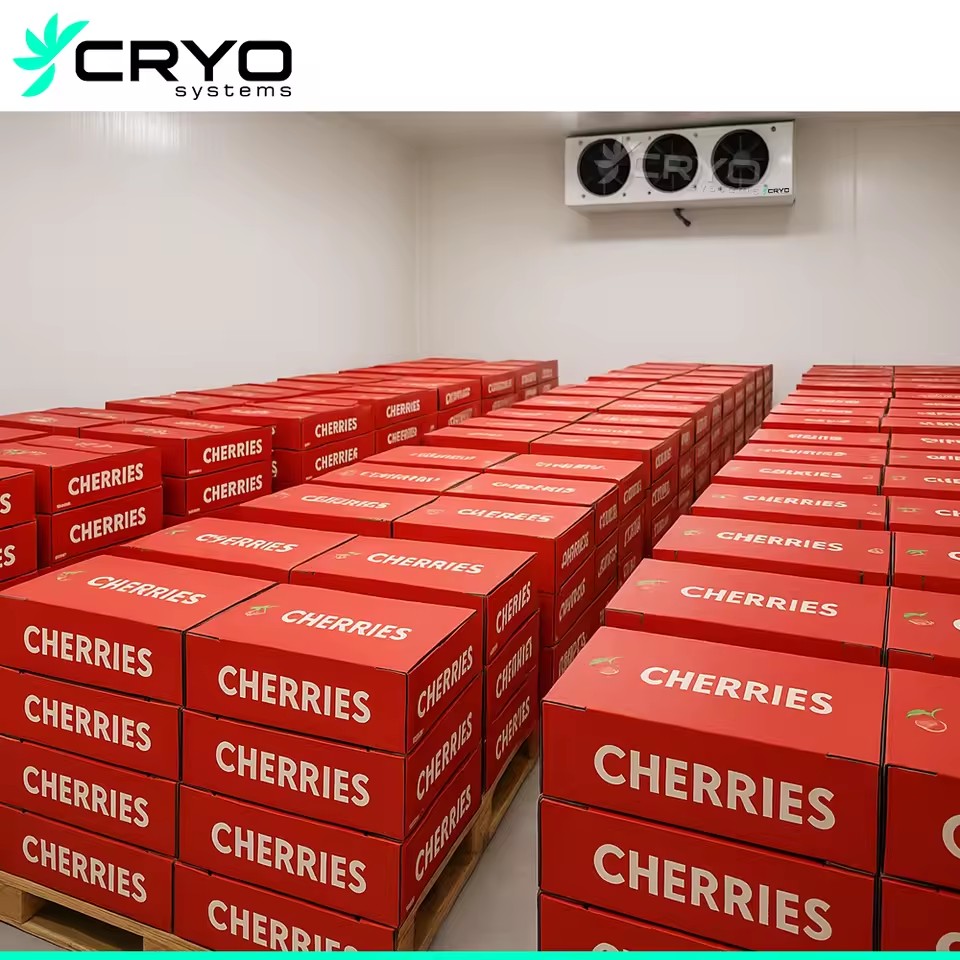 Product Importer Gallery 05 · 81be778874