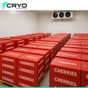 Product Importer Gallery 05 · 81be778874