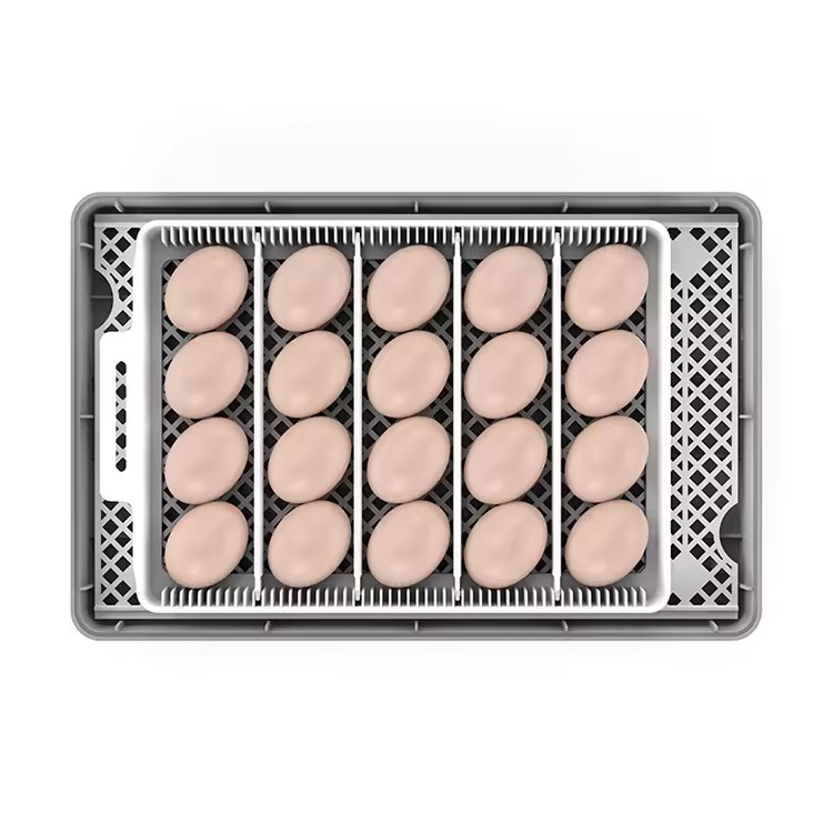 Product Importer Gallery 01 · 53e71b33f0