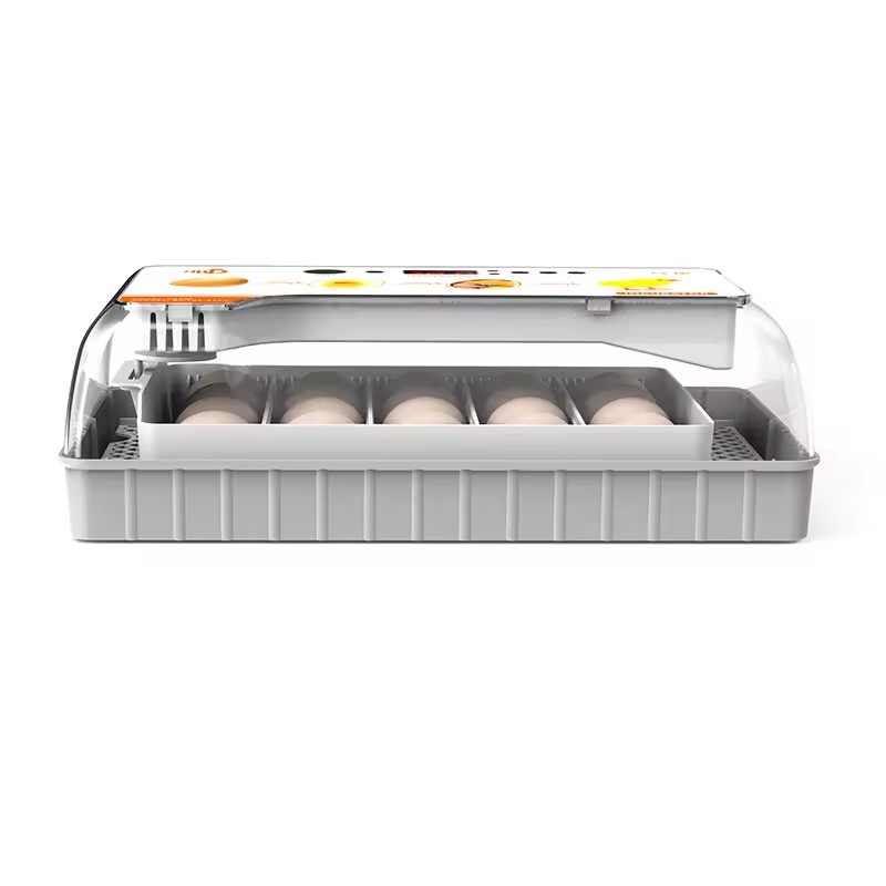 Product Importer Gallery 05 · d35013e10c