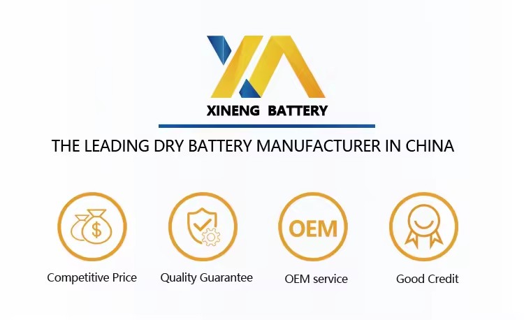 Product Importer Gallery 04 · efb67fd96f