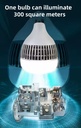 Product Importer Gallery 05 · 557cf6e6a0