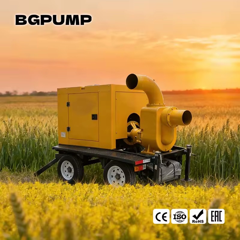 Product Importer Gallery 02 · 6bbc0b5440