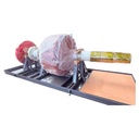 Product Importer Gallery 01 · 42ebefc980