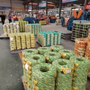 Product Importer Gallery 04 · 767e9ae43b