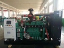 Product Importer Gallery 05 · 1bca68634a