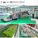 Product Importer Gallery 01 · 0bdcbed06c