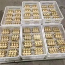 Product Importer Gallery 01 · 600cdad7ec
