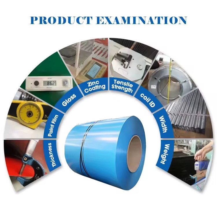 Product Importer Gallery 02 · f55eadad66