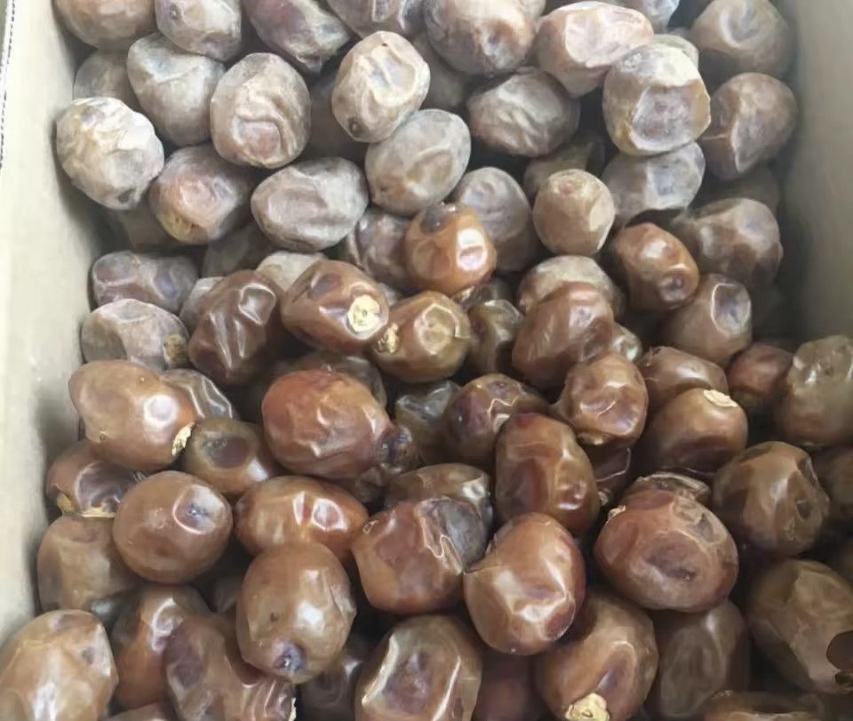 Product Importer Gallery 02 · f68ac77a3a